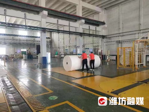 企业调研行 恒联集团——老造纸厂的上市梦